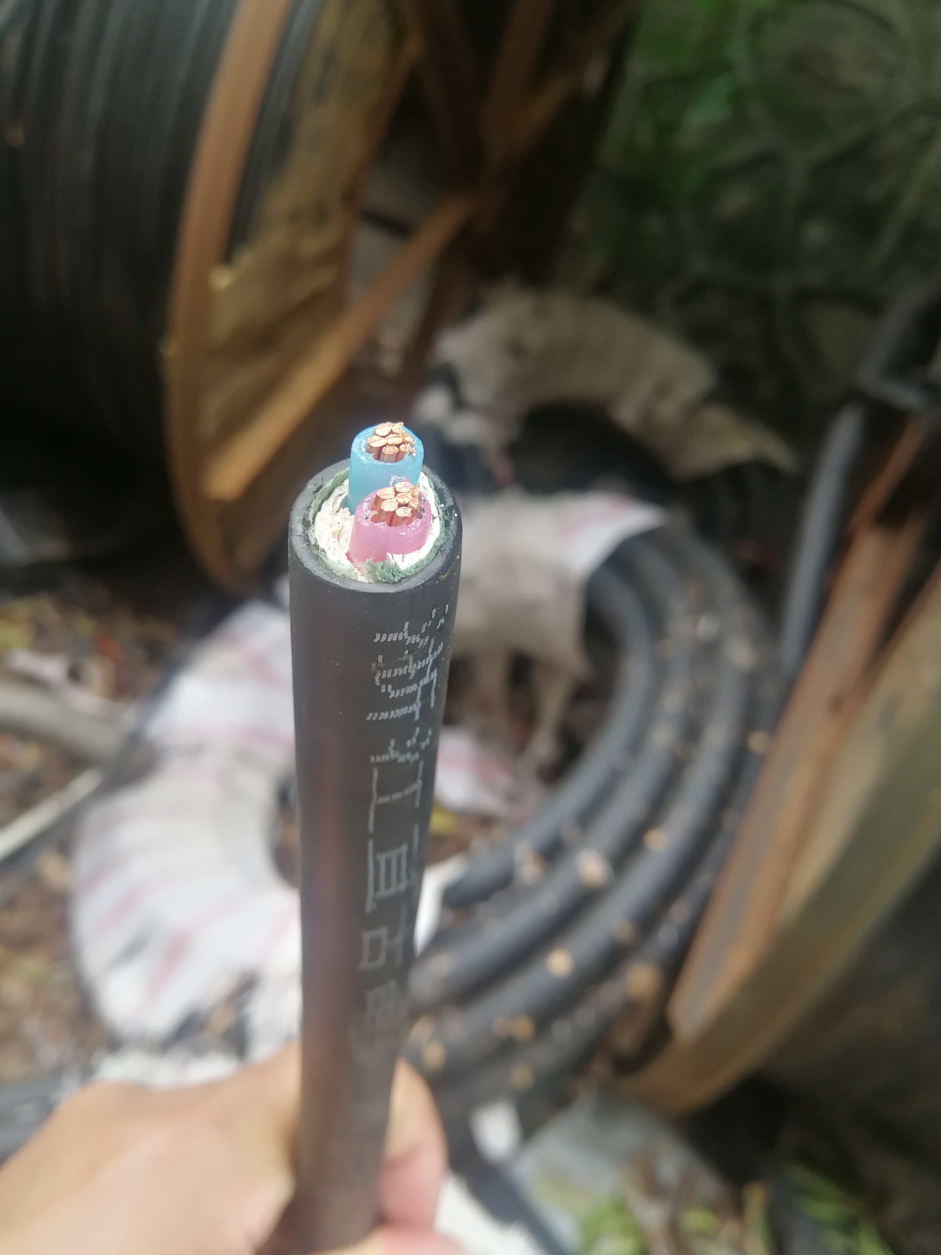 1652154128445964.jpg f88365b0ad222deec44dd44d19a19a3.jpg