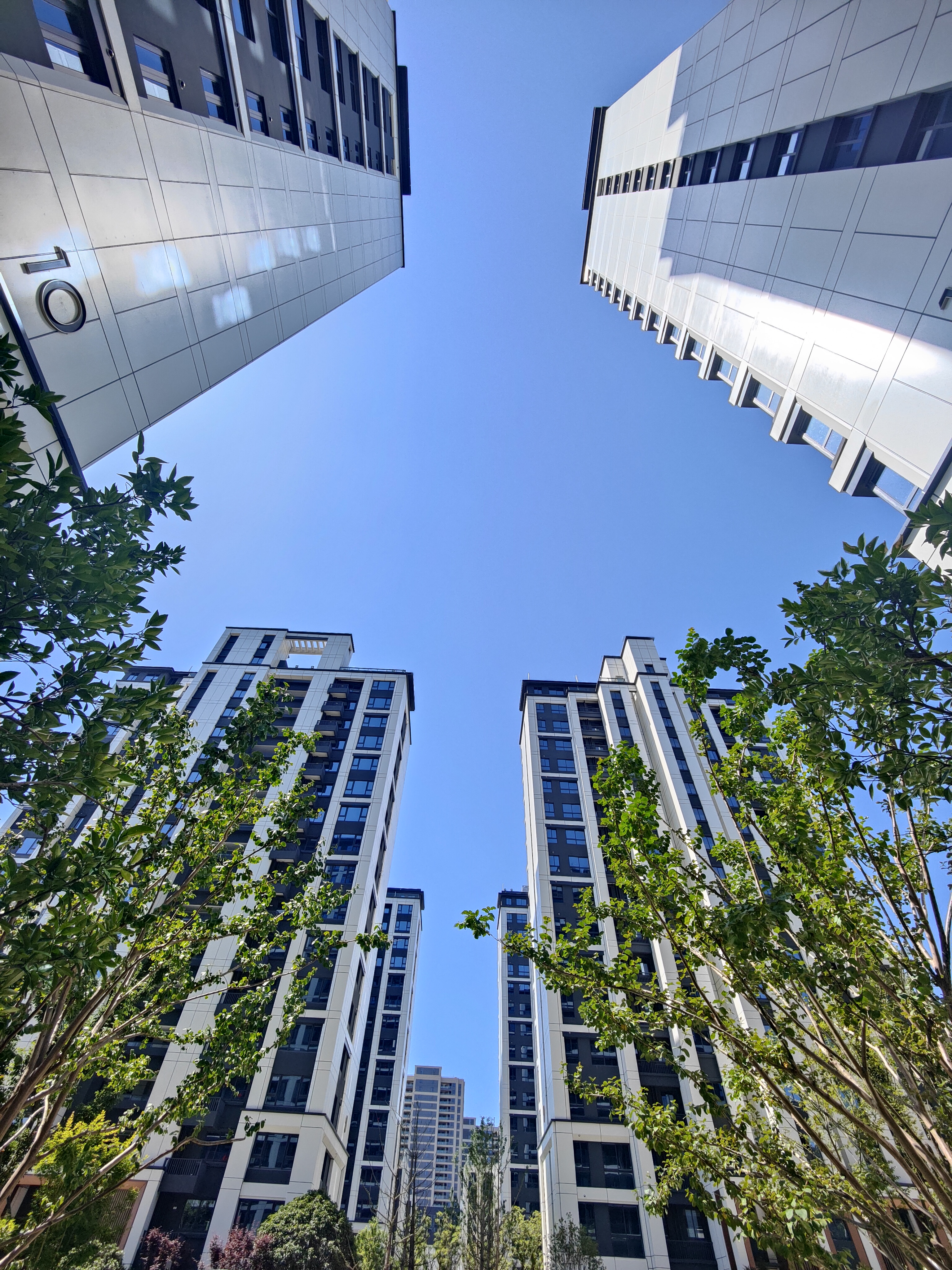 1719454930651322.jpg 31-仰望云棲.jpg